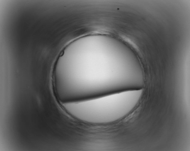 X0000089431471200706151013