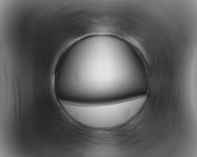 X0000089431472200706151013