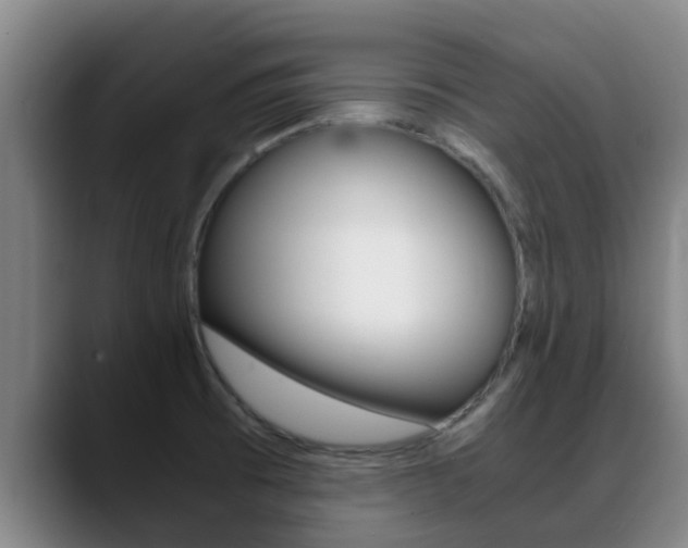 X0000089431473200706151013