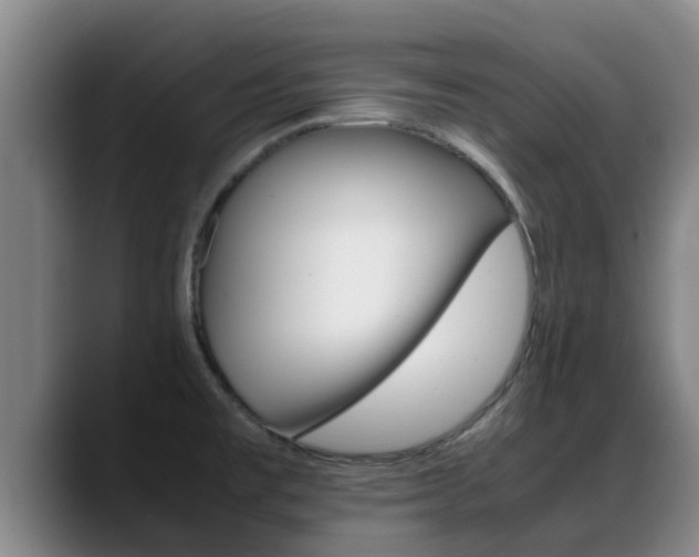 X0000089431477200706151013