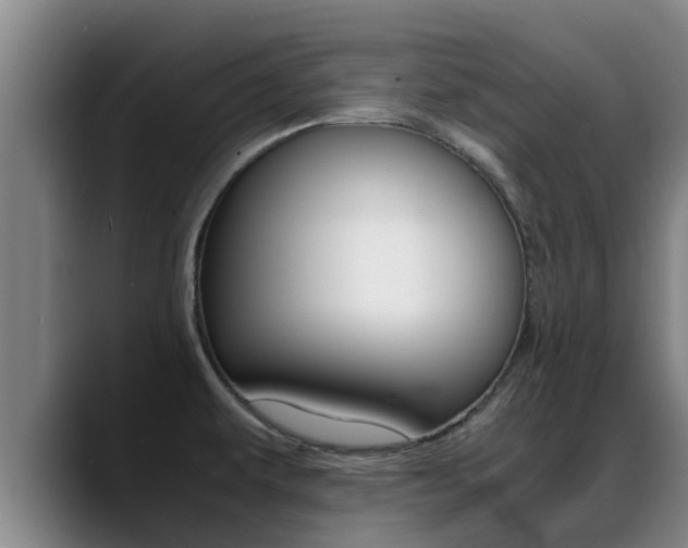 X0000089431479200706151013
