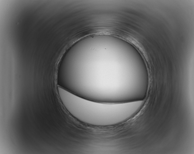 X0000089431481200706151013