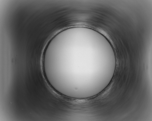 X0000089431482200706151013
