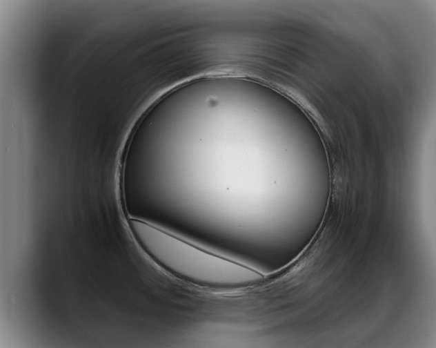 X0000089431484200706151013