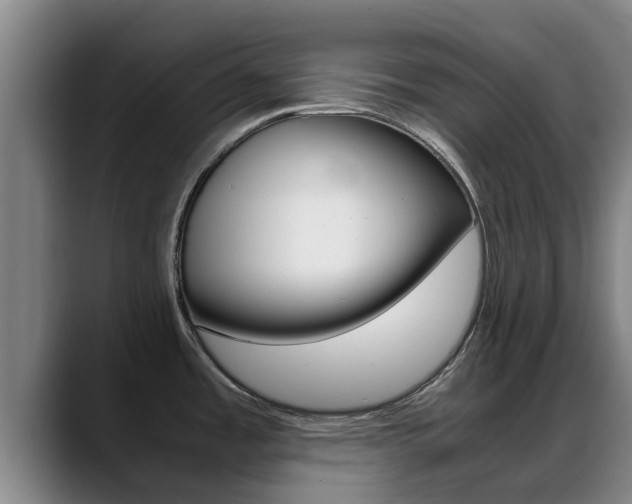 X0000089431485200706151013