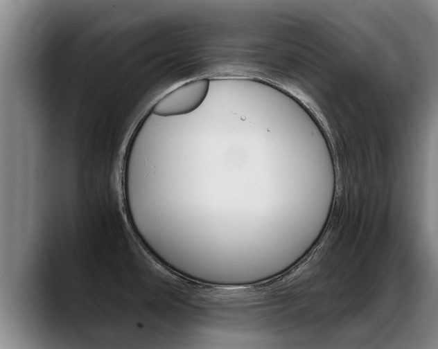 X0000089431486200706151013