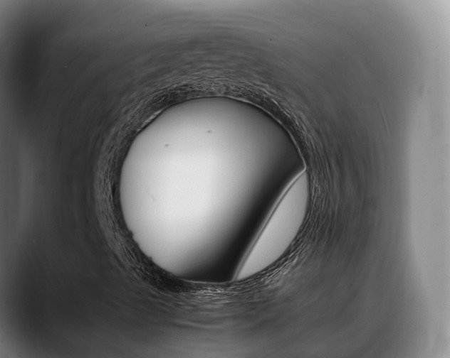 X0000089431489200706151012