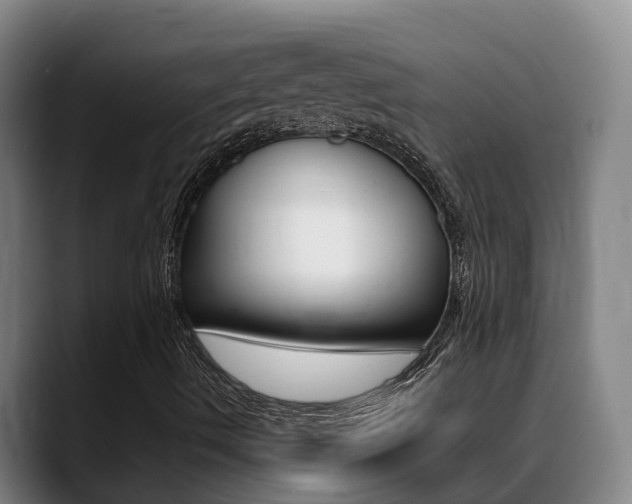 X0000089431490200706151012