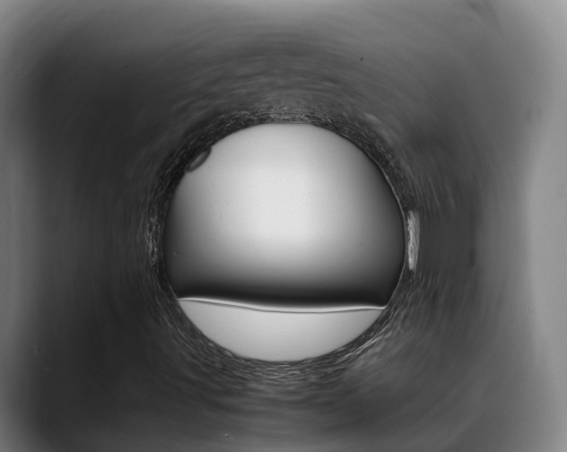 X0000089431491200706151012