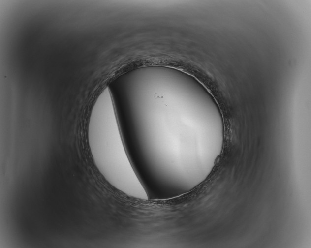 X0000089431493200706151012