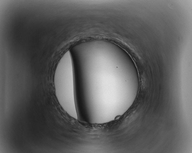 X0000089431494200706151012