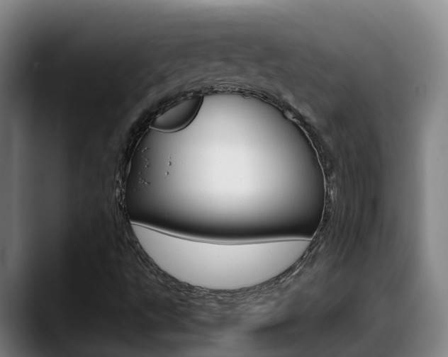 X0000089431495200706151012