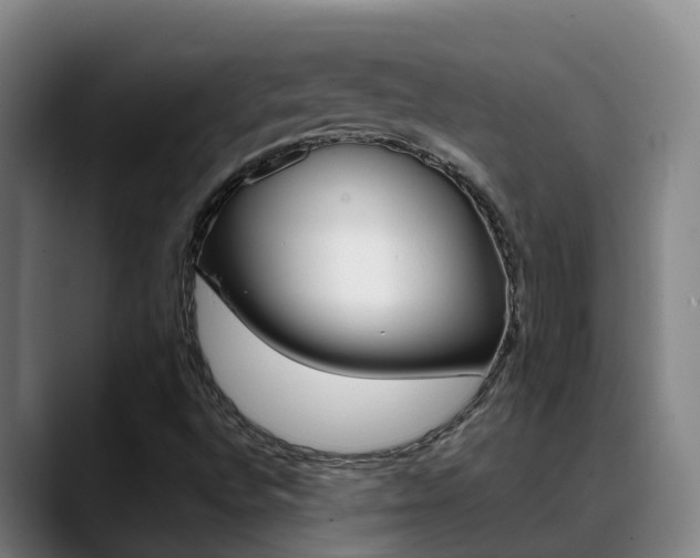 X0000089431496200706151012