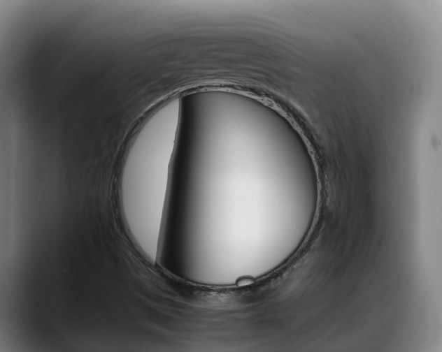 X0000089431497200706151012