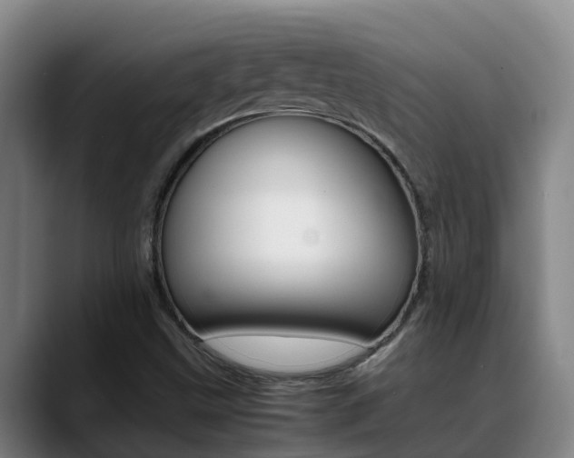 X0000089431499200706151012