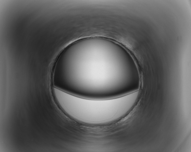X0000089431500200706151012