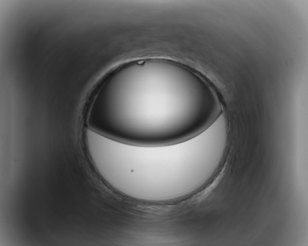 X0000089431502200706151012