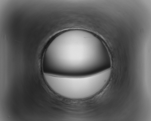 X0000089431503200706151012
