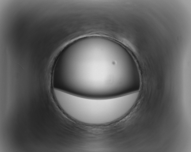 X0000089431504200706151012
