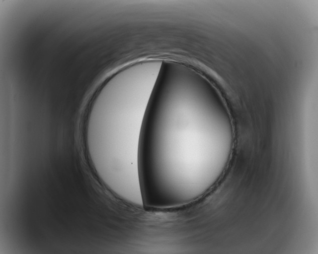 X0000089431506200706151012