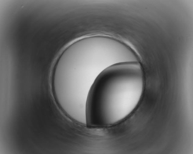 X0000089431508200706151012
