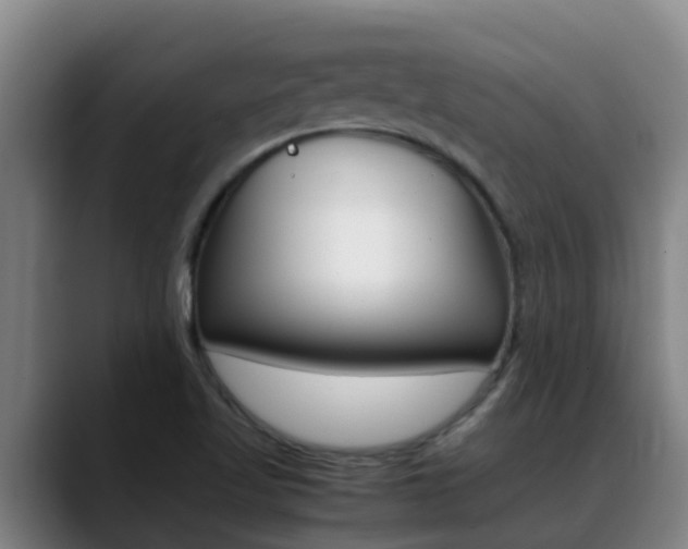 X0000089431509200706151012