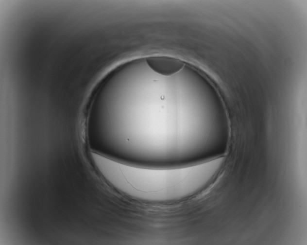 X0000089431510200706151012
