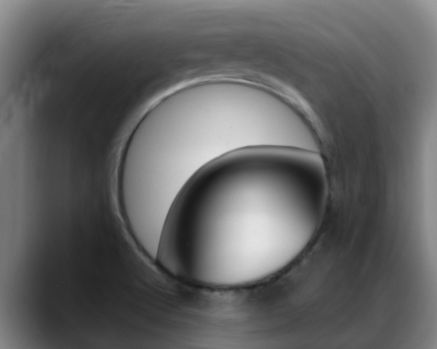 X0000089431512200706151012