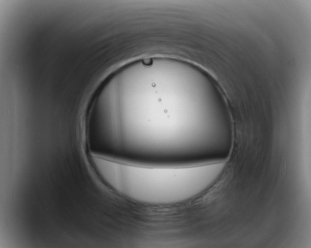 X0000089431515200706151012