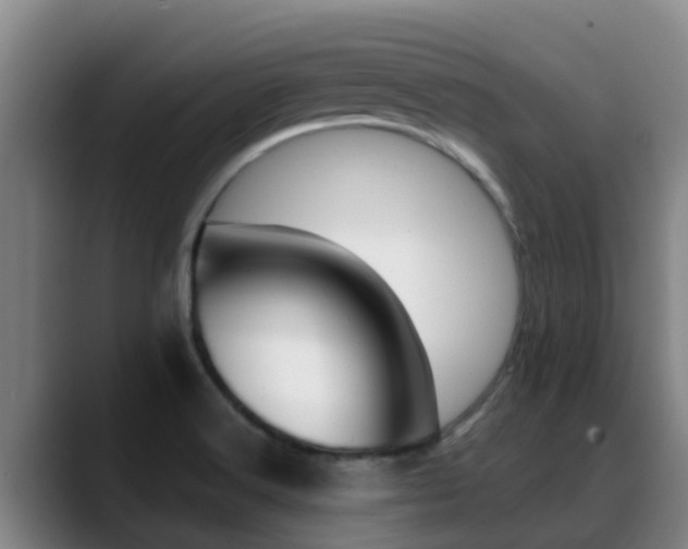 X0000089431516200706151012