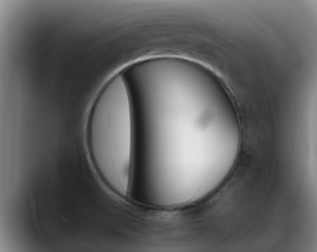 X0000089431519200706151012