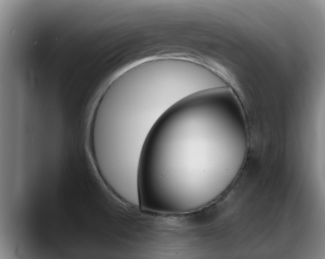 X0000089431520200706151012