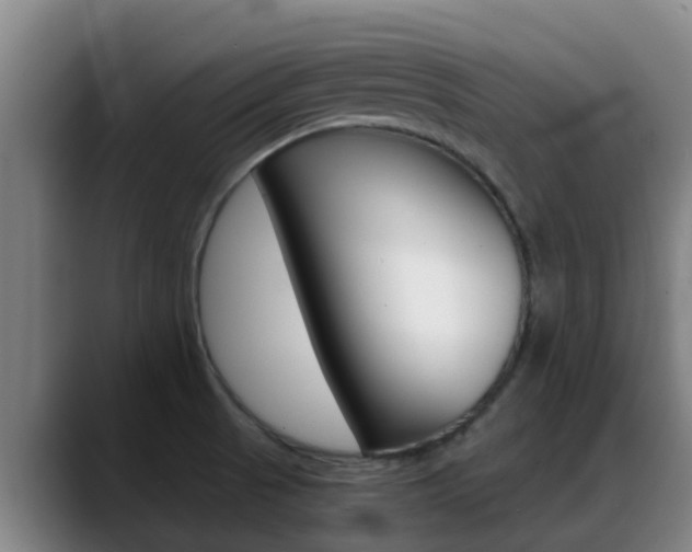 X0000089431521200706151012