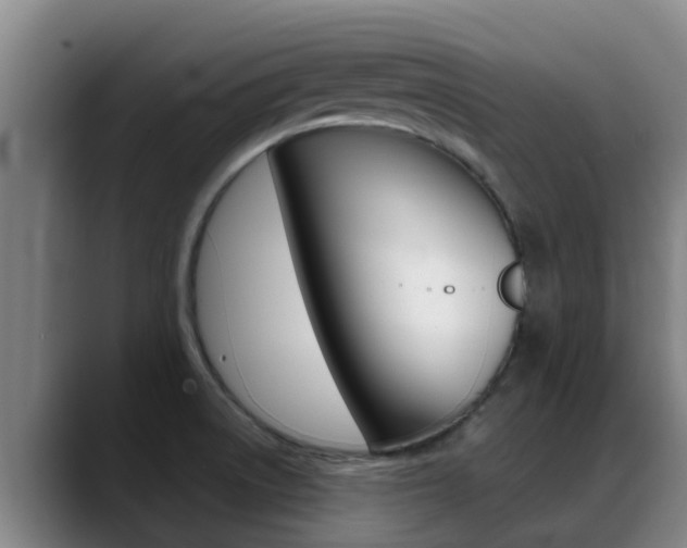 X0000089431522200706151012
