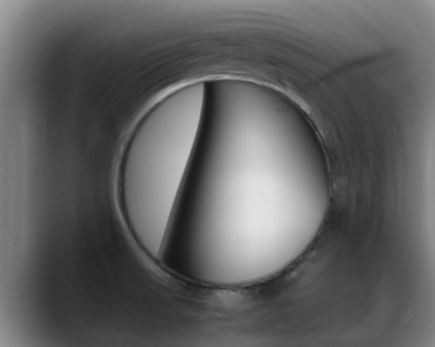 X0000089431523200706151012