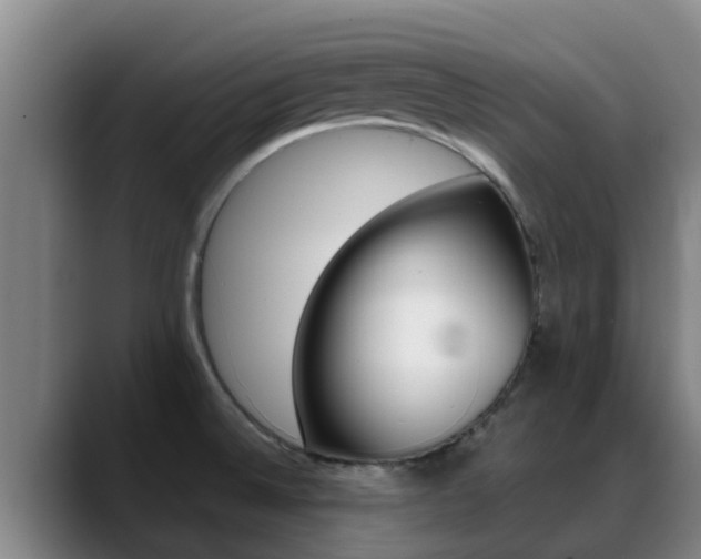 X0000089431524200706151012