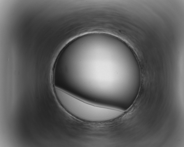 X0000089431527200706151012