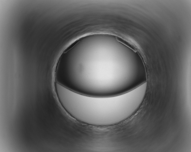 X0000089431528200706151012