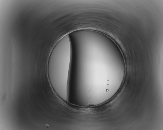 X0000089431529200706151012