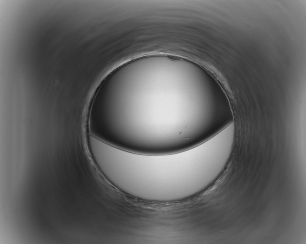 X0000089431530200706151012