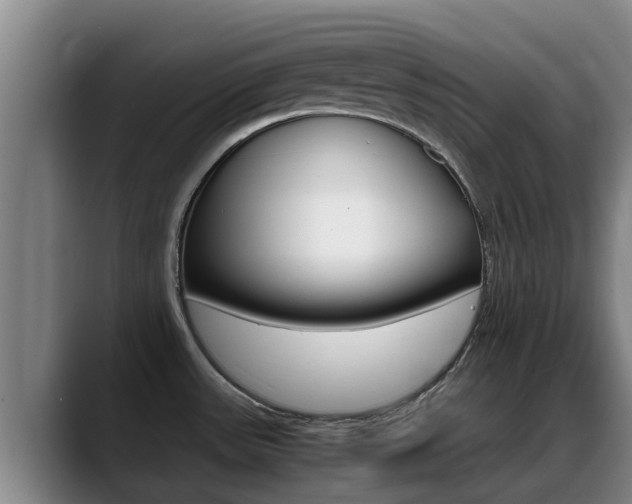 X0000089431531200706151012