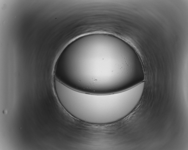 X0000089431532200706151012