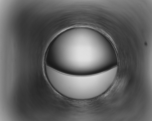 X0000089431533200706151012