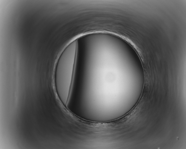 X0000089431534200706151012