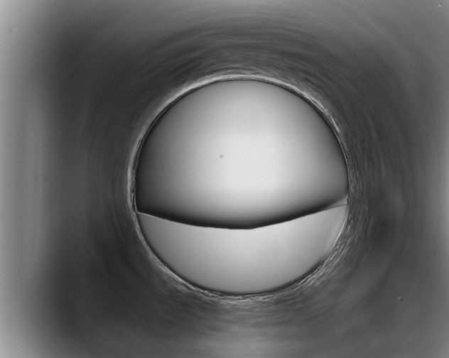 X0000089431535200706151012
