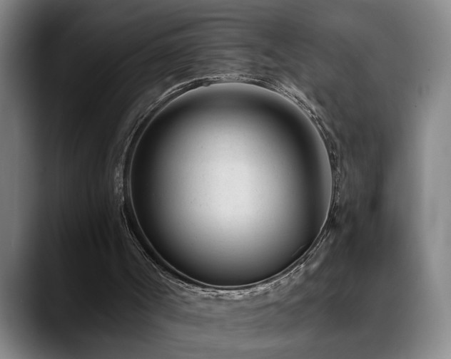 X0000089430002200706151317