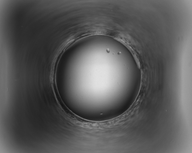 X0000089430003200706151317