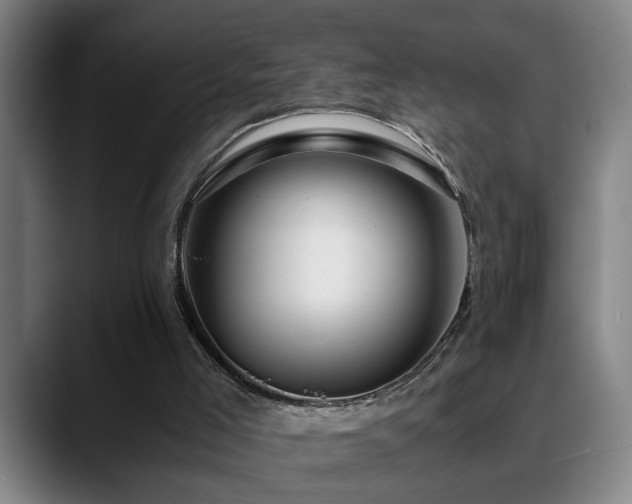 X0000089430005200706151317