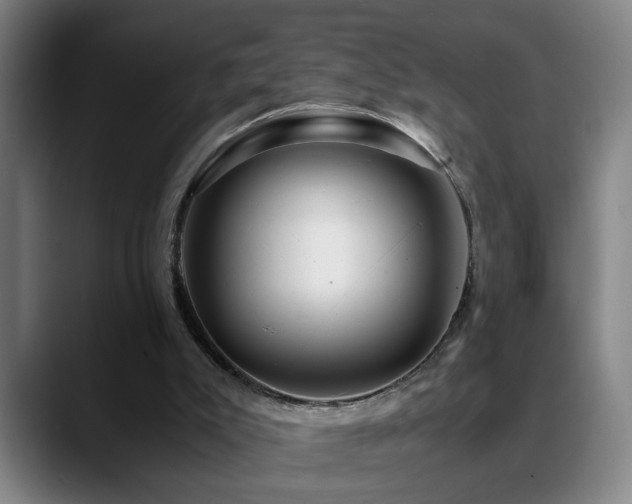 X0000089430007200706151317