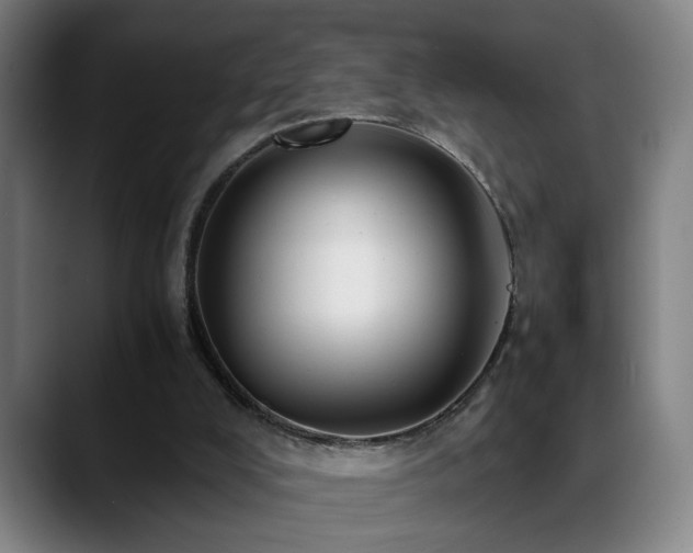 X0000089430008200706151317